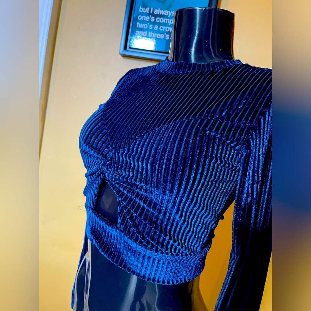 Women’s Top Shop Velvet Longsleeve Crop ( 4 )